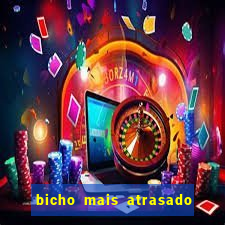 bicho mais atrasado na bahia
